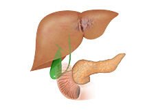 hepatobiliary-disease-5538090