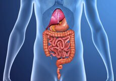 prevention-of-gastro-disease-1419499
