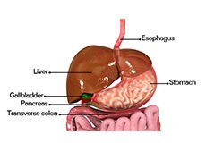 upper-gastrointestinal-disease-7132692